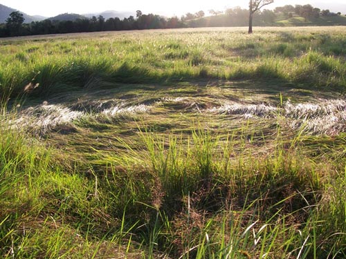 Oz Crop Circle Appears