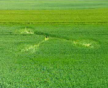 (first formation, Vrhovljan, Croatia crop circle, aerial photo 6