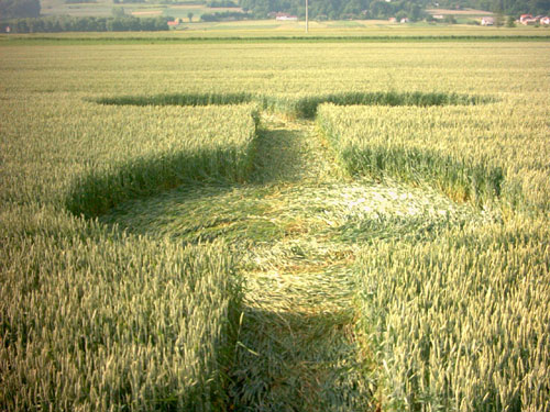 (first formation, Vrhovljan, Croatia crop circle, aerial photo 5