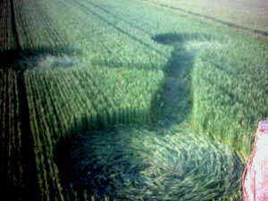 (first formation, Vrhovljan, Croatia crop circle, aerial photo 10