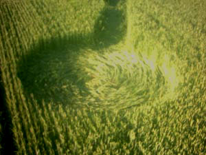 (first formation, Vrhovljan, Croatia crop circle, aerial photo 8