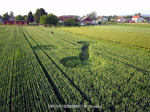(first formation, Vrhovljan, Croatia crop circle, aerial photo 11