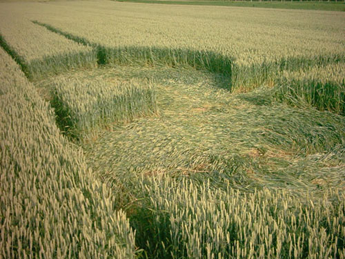 (first formation, Vrhovljan, Croatia crop circle, aerial photo 4