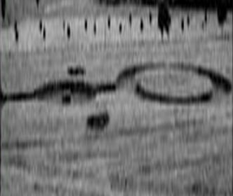 Full disclosure: made by Greenpeace, France crop circle, aerial photo 8