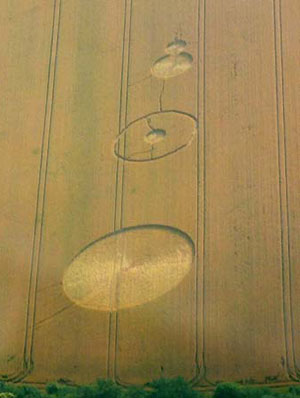 Full disclosure: made by Greenpeace, France crop circle, aerial photo 2