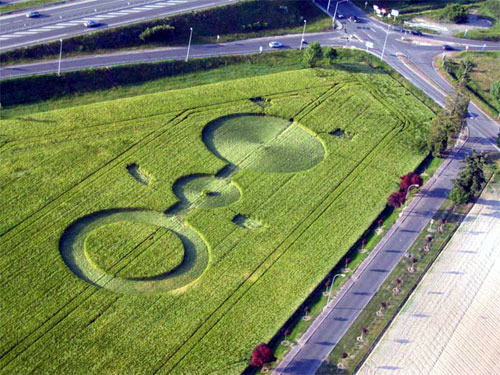 Full disclosure: made by Greenpeace, France crop circle, aerial photo 5