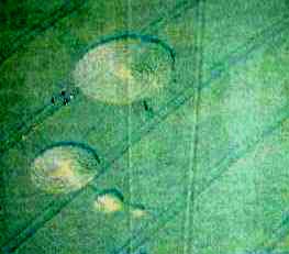 Full disclosure: made by Greenpeace, France crop circle, aerial photo 12