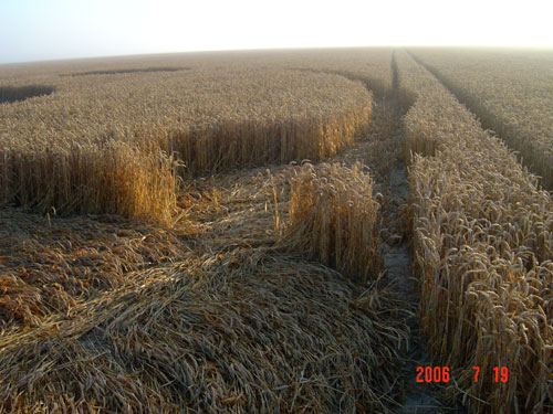KRAPJE, Slovenia crop circle, aerial photo 7