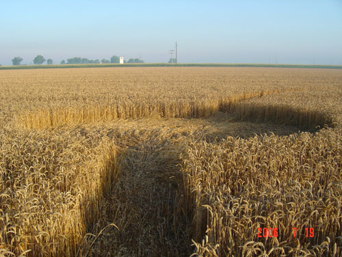 KRAPJE, Slovenia crop circle, aerial photo 5