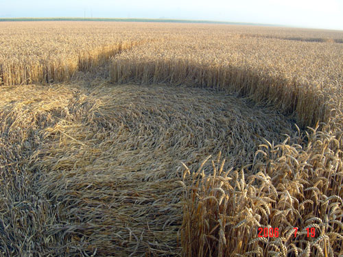 KRAPJE, Slovenia crop circle, aerial photo 6