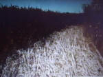KRAPJE, Slovenia crop circle, aerial photo 11