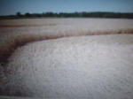 KRAPJE, Slovenia crop circle, aerial photo 19