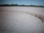 KRAPJE, Slovenia crop circle, aerial photo 20