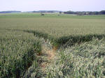 Genval, Belgium crop circle, aerial photo 26