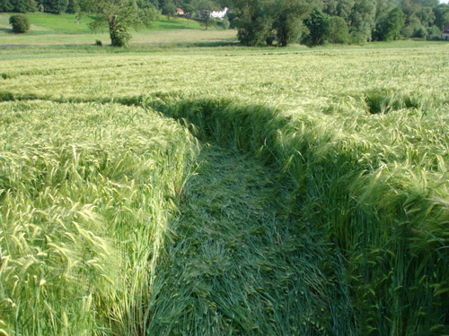Genval, Belgium crop circle, aerial photo 8