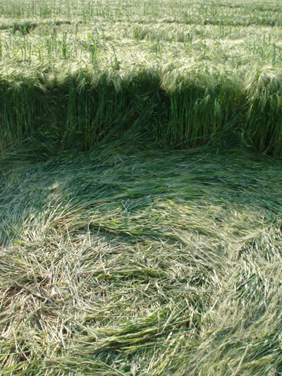 Genval, Belgium crop circle, aerial photo 9