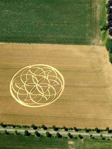 Genval, Belgium crop circle, aerial photo 4