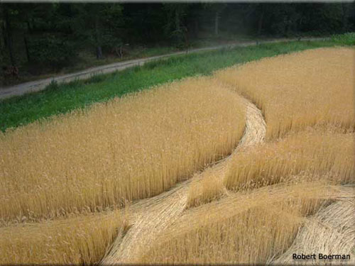 This formation was discovered and, Netherlands crop circle, aerial photo 13