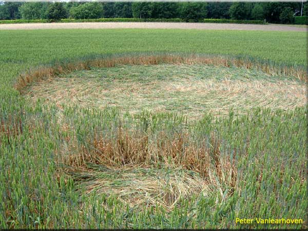 This formation was discovered and, Netherlands crop circle, aerial photo 10