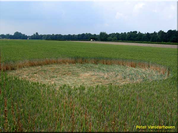 This formation was discovered and, Netherlands crop circle, aerial photo 7