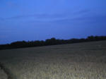 (100 meters) crop formation, Slovenia crop circle, aerial photo 7