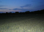 (100 meters) crop formation, Slovenia crop circle, aerial photo 9
