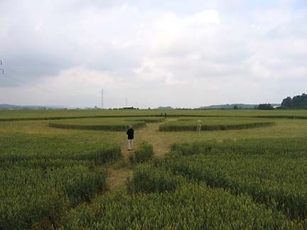 (100 meters) crop formation, Slovenia crop circle, ground photo 15