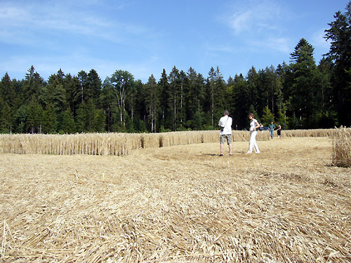 Switzerland, Switzerland crop circle, aerial photo 4