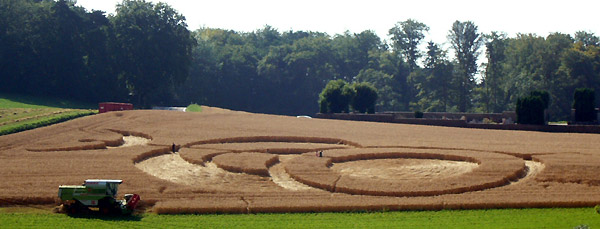 Switzerland, Switzerland crop circle, aerial photo 2