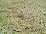 Switzerland, Switzerland crop circle, aerial photo 19
