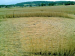 Switzerland, Switzerland crop circle, aerial photo 18