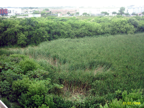 Pelotas RS, Brazil crop circle, aerial photo 9