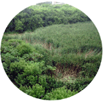 Ipuacu, Santa Catarina State crop circle, aerial photo 2