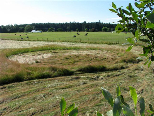Duncan, BC (near Quamichan Lake formation area), Canada crop circle, aerial photo 8