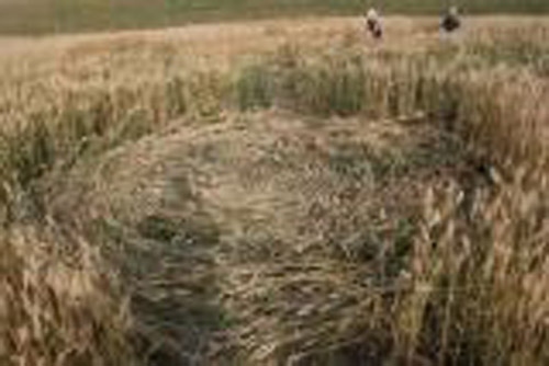 Flatbush, Canada crop circle, aerial photo 2
