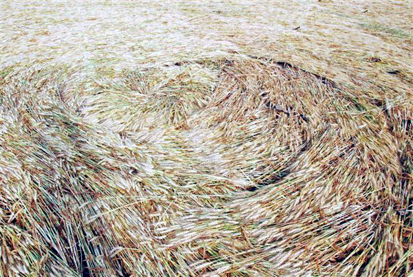 Holmesville, Ontario, Canada crop circle, aerial photo 2