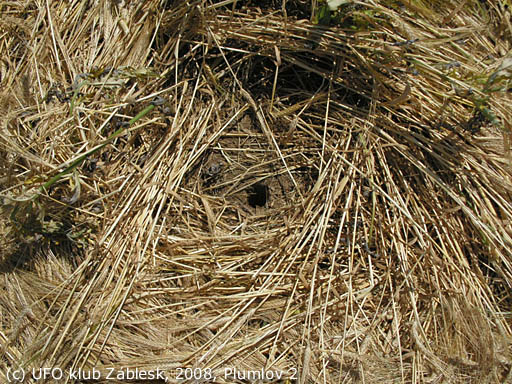 U Lázničků” at the Plumlov dam, Czech Republic crop circle, aerial photo 9