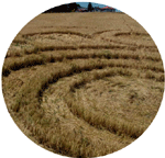 Liberec, Nr Prague, Czech Republic crop circle, aerial photo 6