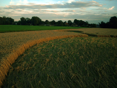 West End Road, Wiltshire crop circle, aerial photo 19