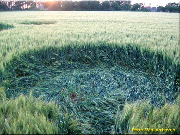Standaardbuiten, Noord Brabant, Netherlands crop circle, aerial photo 3