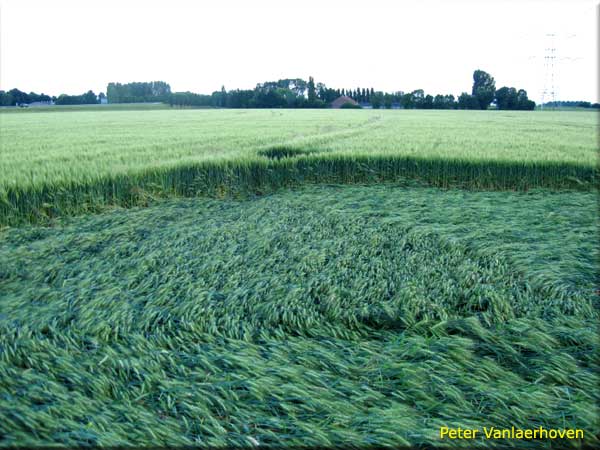 Standaardbuiten, Noord Brabant, Netherlands crop circle, aerial photo 5