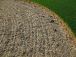 Nieuw-Vennep, Netherlands crop circle, aerial photo 26