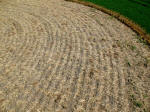 Nieuw-Vennep, Netherlands crop circle, aerial photo 32
