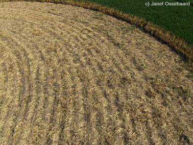 Nieuw-Vennep, Netherlands crop circle, aerial photo 16