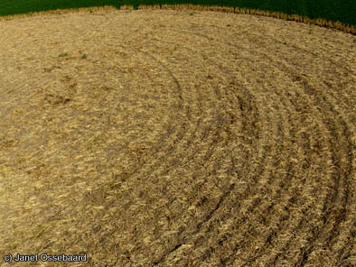 Nieuw-Vennep, Netherlands crop circle, aerial photo 17