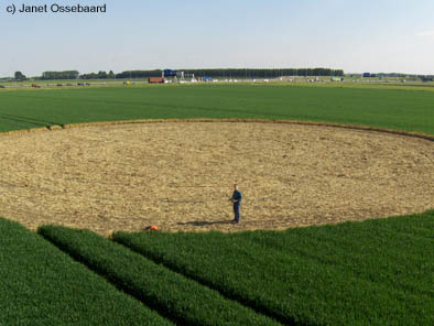Nieuw-Vennep, Netherlands crop circle, aerial photo 6