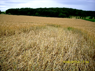 Sarraltroff, France crop circle, aerial photo 8