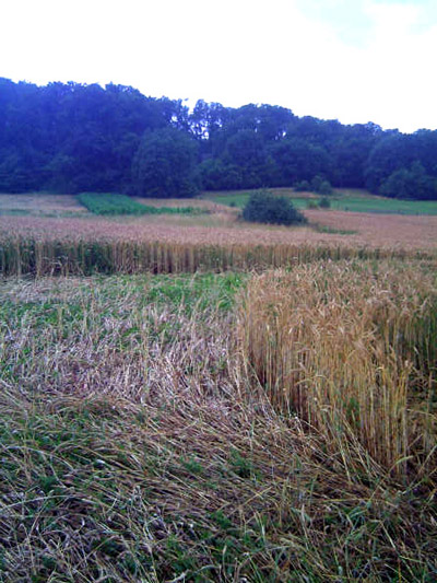 Sarraltroff, France crop circle, aerial photo 2