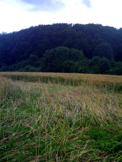 Sarraltroff, France crop circle, aerial photo 3