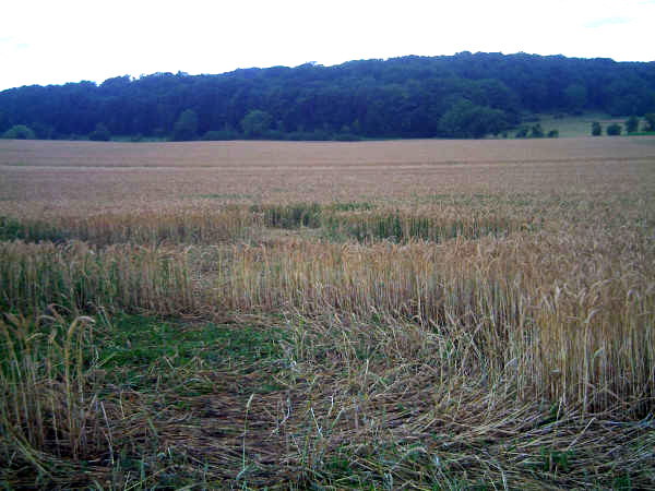 Sarraltroff, France crop circle, aerial photo 5